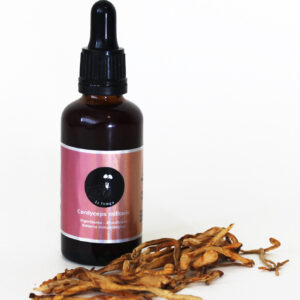 Extracto doble de Cordyceps militaris - 50ml