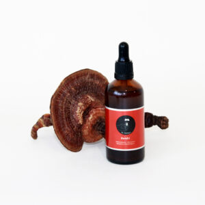 Extracto doble de Reishi - 100ml