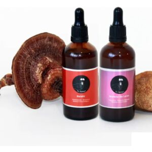 Kit Armonía (Melena De León + Reishi)