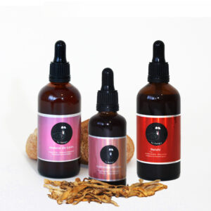 3 Extractos: Melena De León + Reishi + Cordyceps Militaris