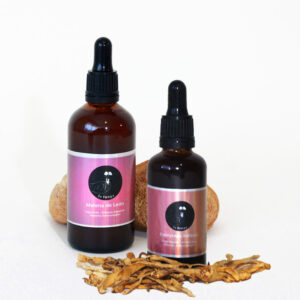 Kit Energía (Melena De León + Cordyceps)