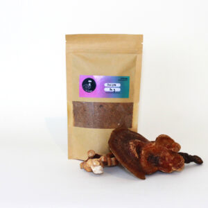 Polvo de Reishi - 60g